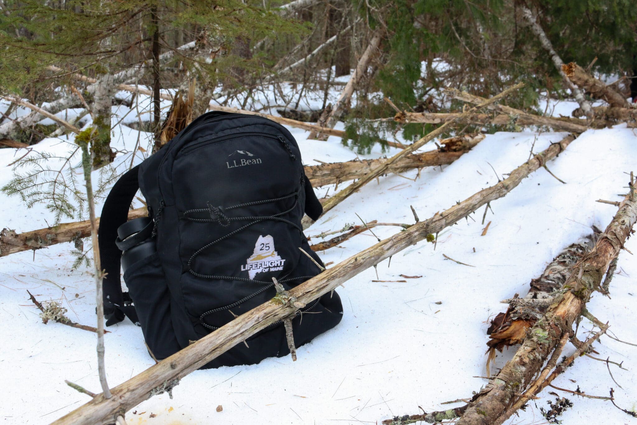 Gear bag sitting in the snow.